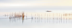 the boat