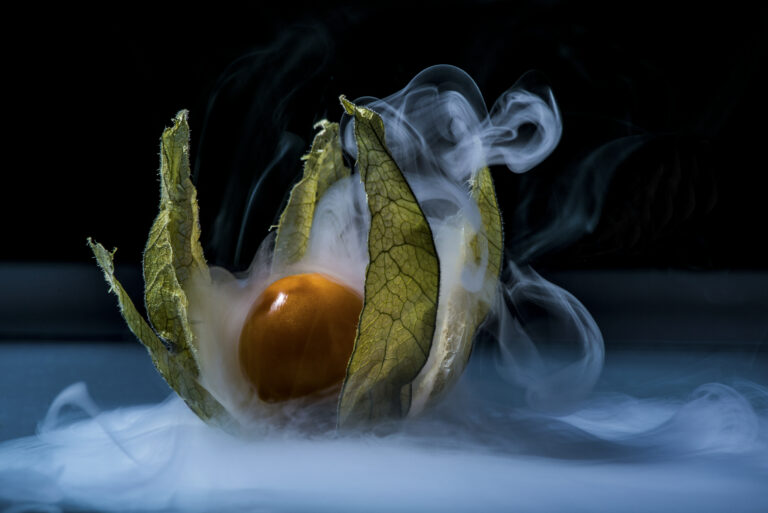 Die Physalis