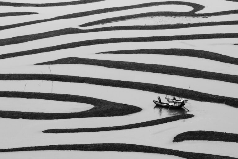 The Beauty of Simple Life