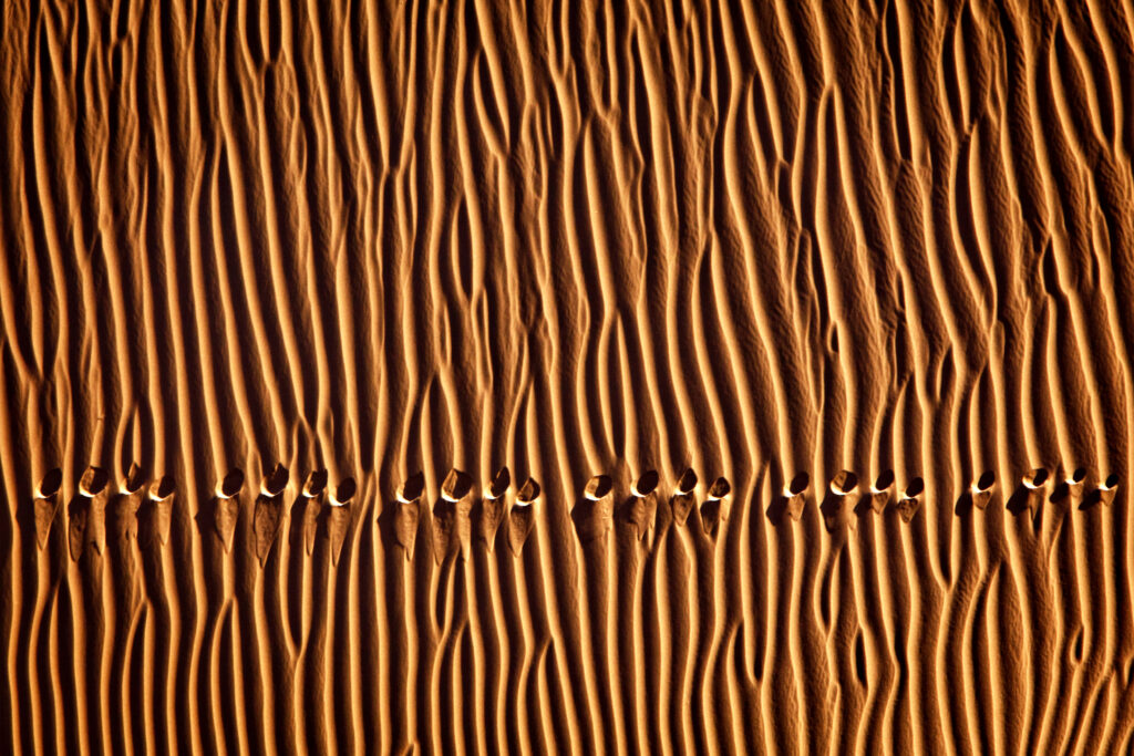 Footprint3