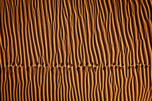 Footprint3