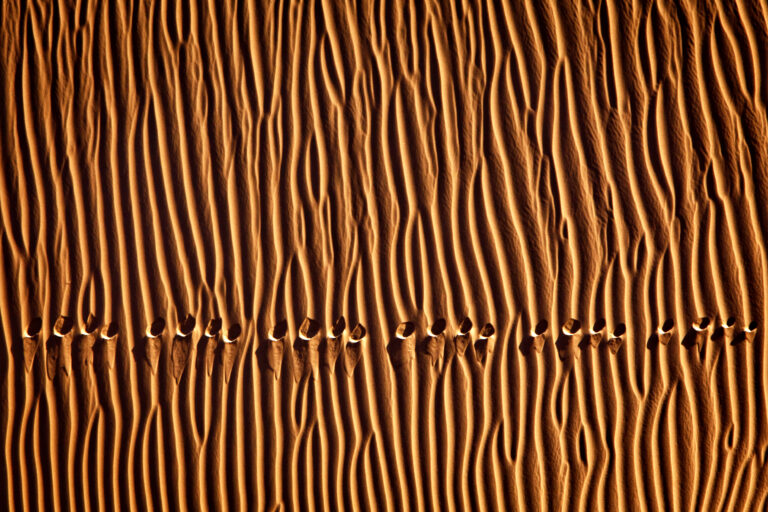 Footprint3