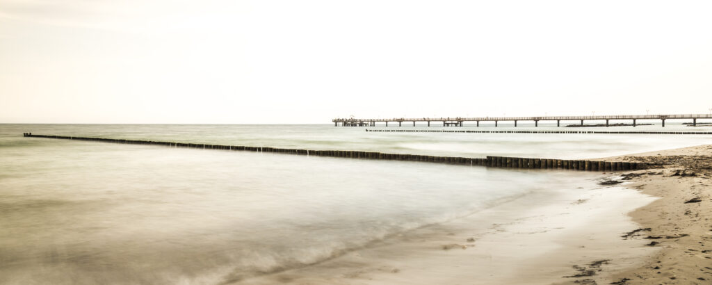 White Horizon