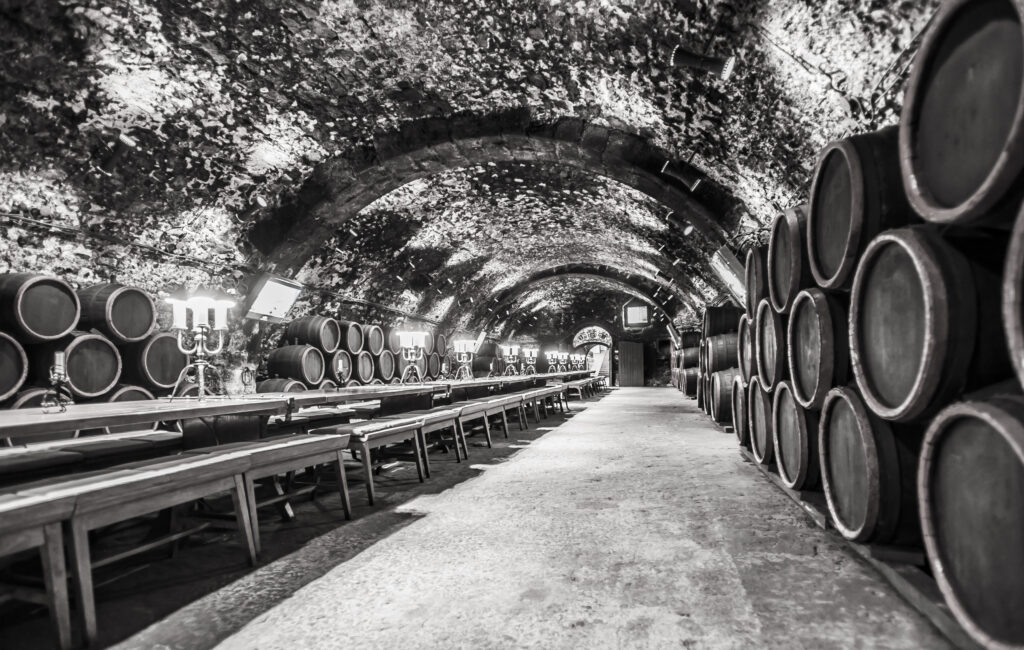 In Vino Veritas 1