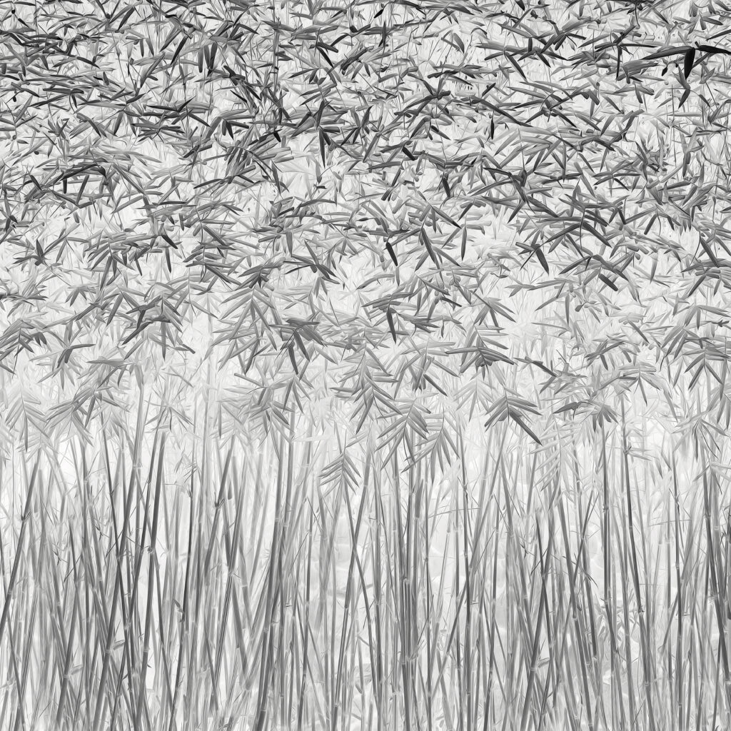 Parallelism