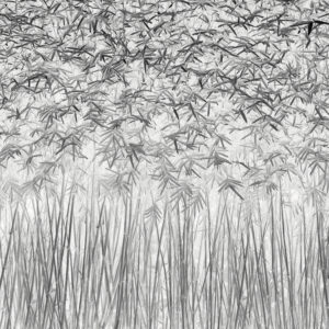 Parallelism