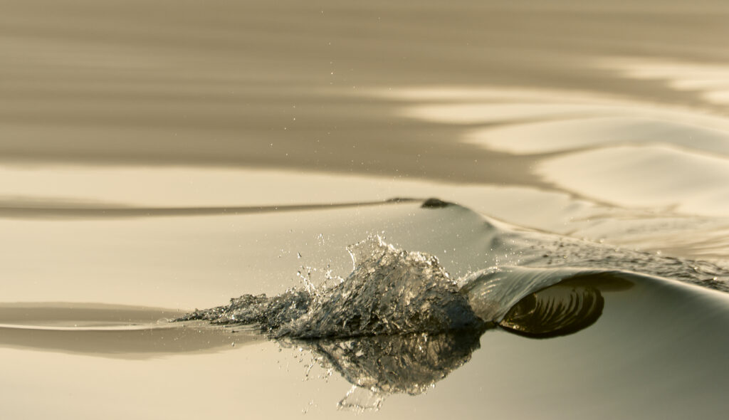 wave