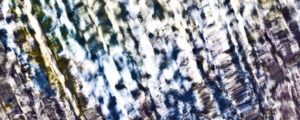 Waves1