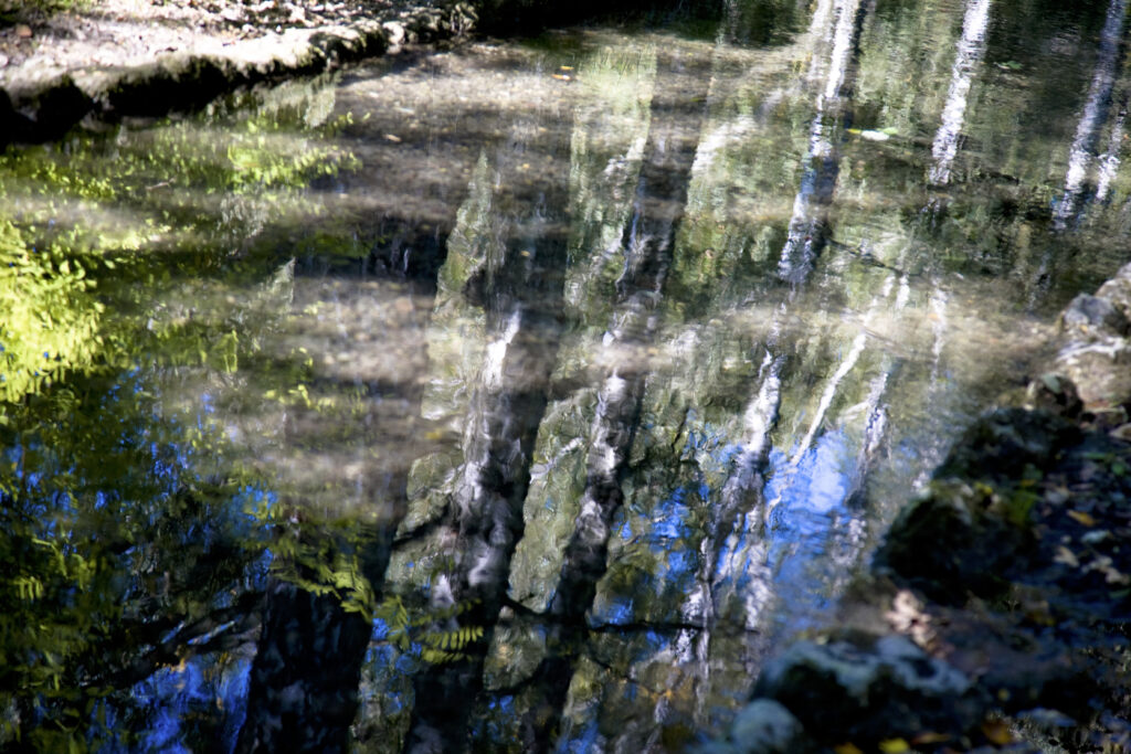 Spiegelwelten