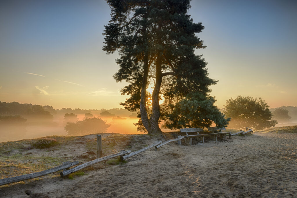 Jockschat Heinz-Joachim, Sonnenuntergang