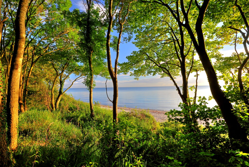 Gräfenhain - Hochufer Ostsee