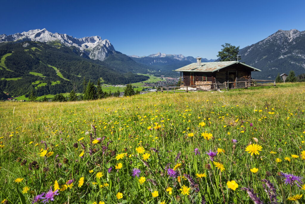 Schmid Reinhard - Eckenhütte am Wank