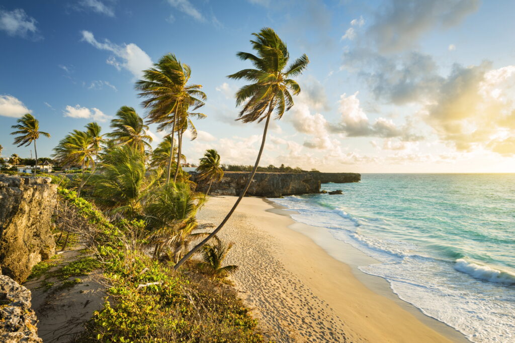 Foulkes Justin - Barbados