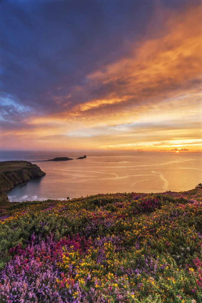 Stock Billy - Rhossili Bay