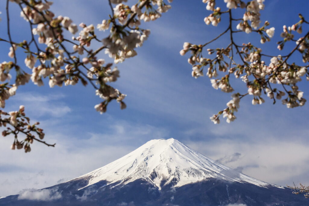 Rellini Maurizio - Mount Fuji
