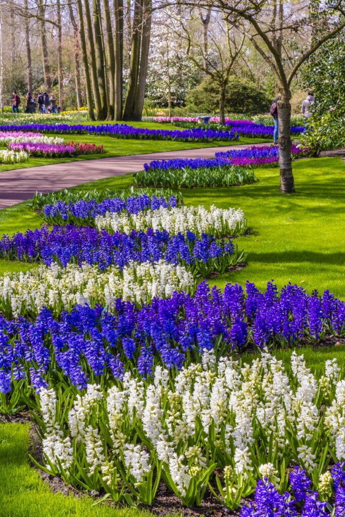 Armellin Andrea - Keukenhof-Gärten