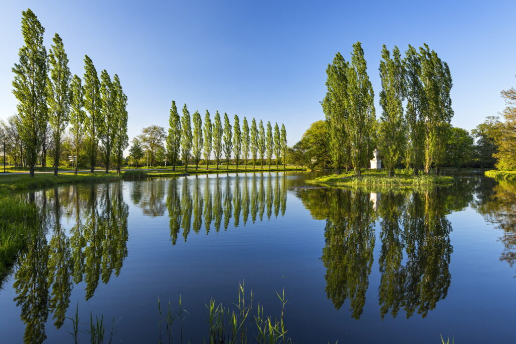 Schmid Reinhard - Rousseau Insel im Wörlitzer Park