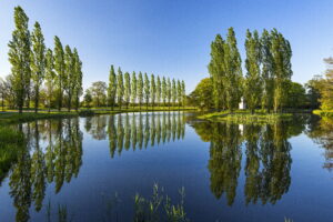 Schmid Reinhard – Rousseau Insel im Wörlitzer Park