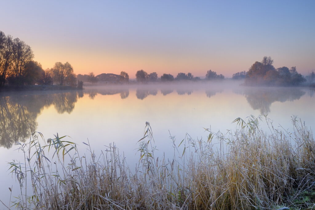 Dörr C. - Morgenstimmung am Mühlensee