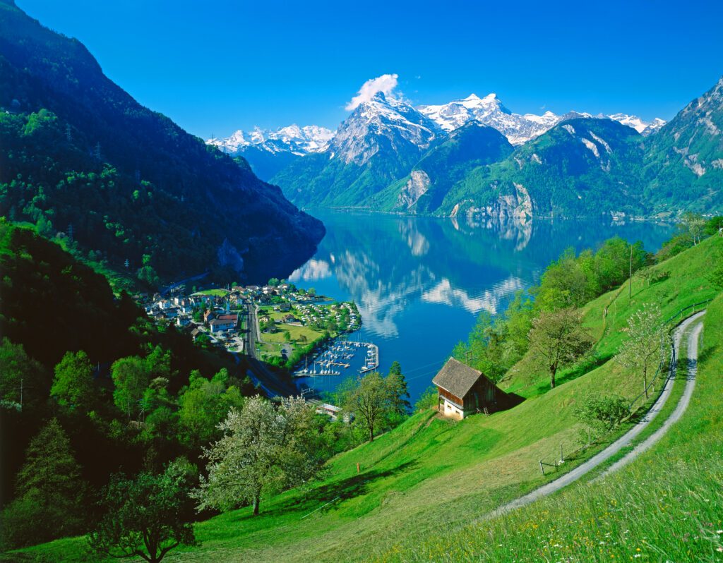 Grafenhain - Blick auf den See