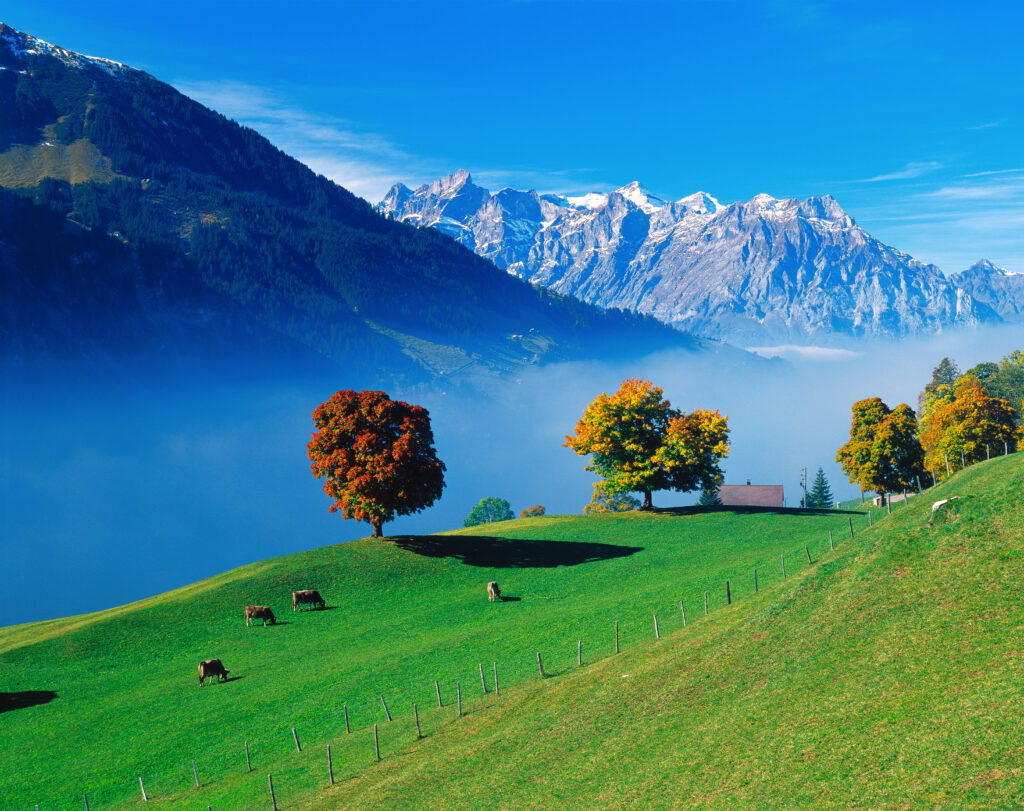 Gräfenhain - Herbst am Klausenpass