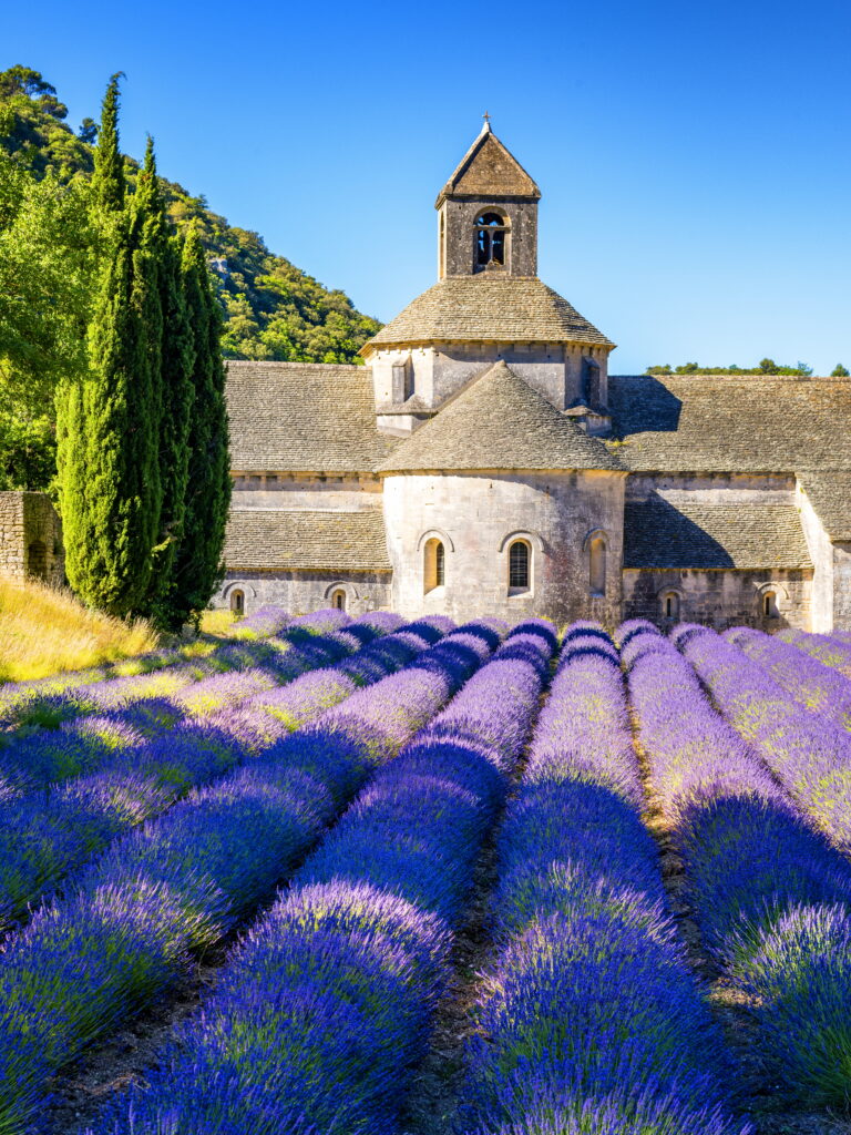 Kremer Susanne - Lavendelfeld vor der Abtei Senanque bei Gordes