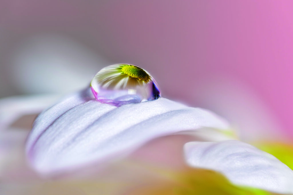 Magical drop