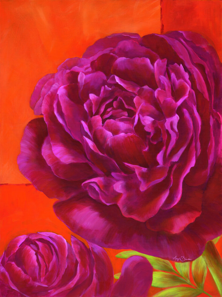 Purple Peony