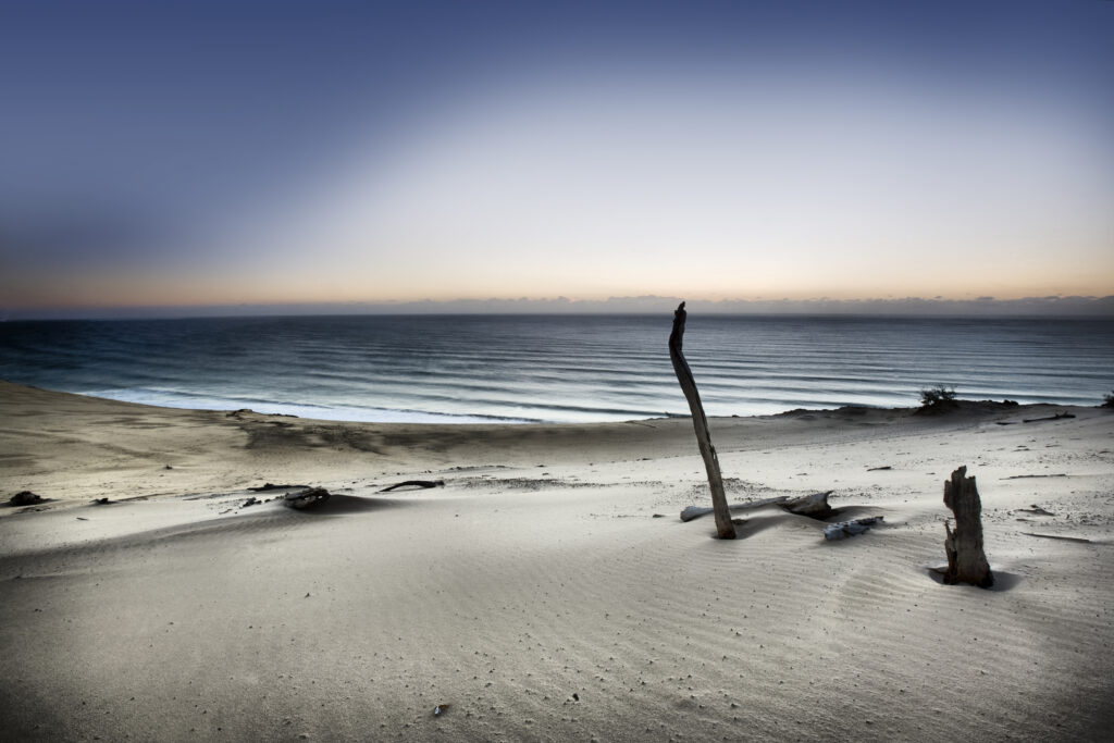 Reach for the sun-Mel Brackstone
