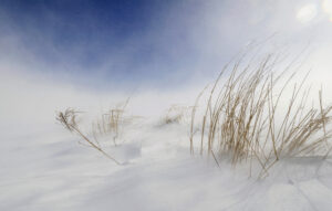 Sunny snowstorm by Carlo Tonti