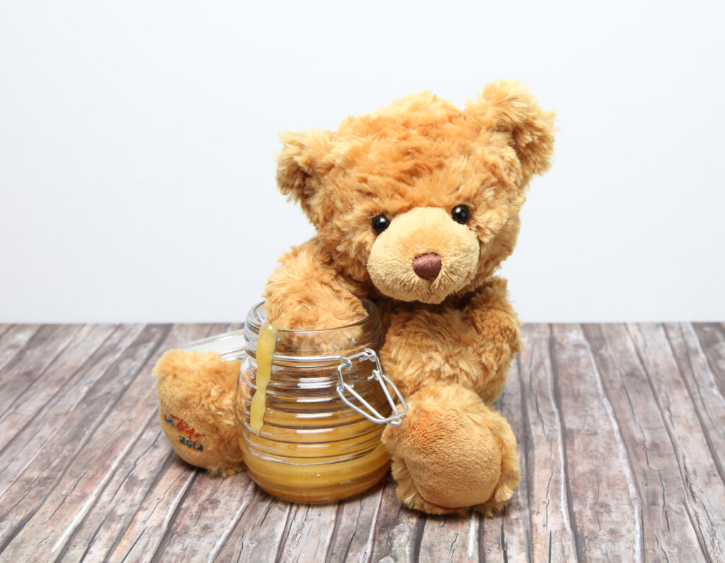 Der kleine Honigbär