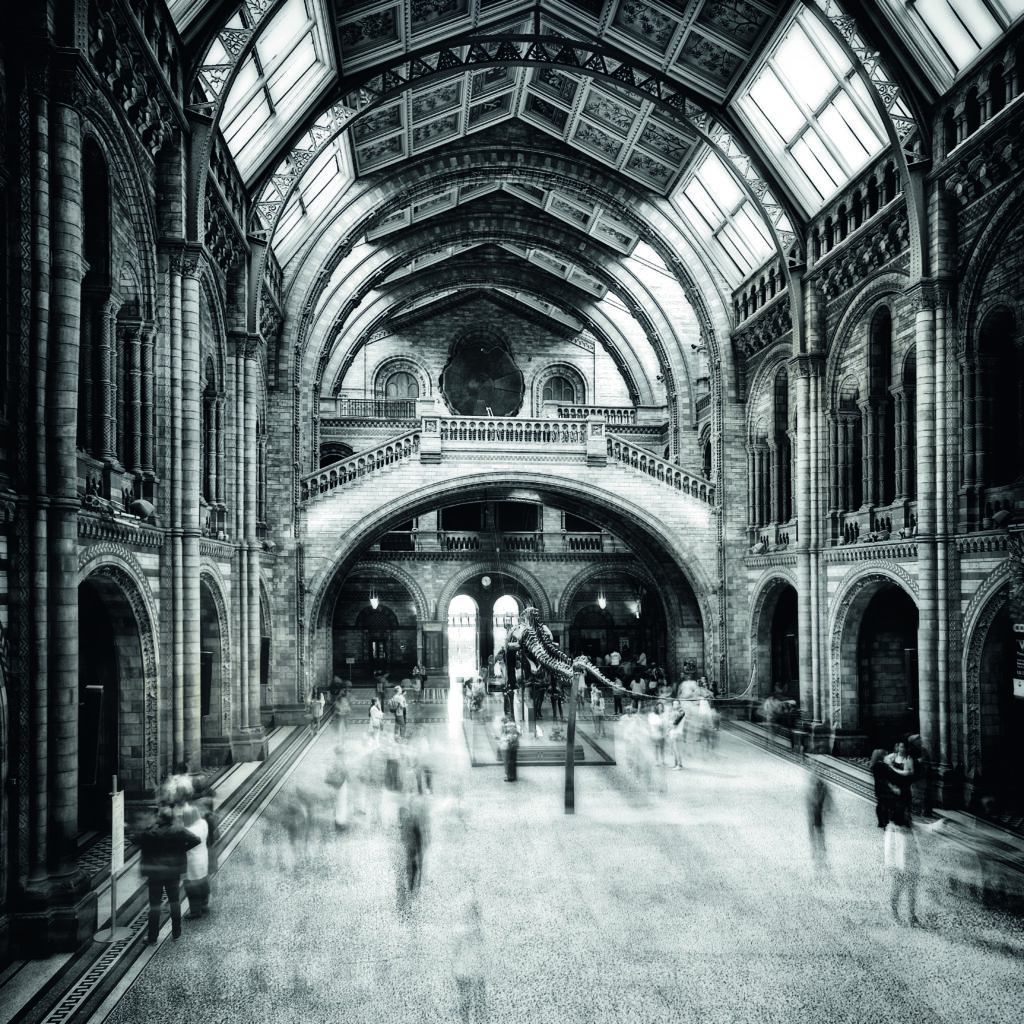 Natural History Museum by S.P. Buye