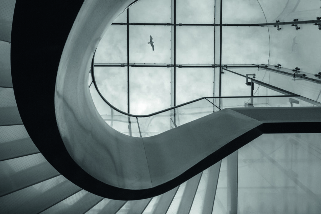 High and far by Filipe P Neto
