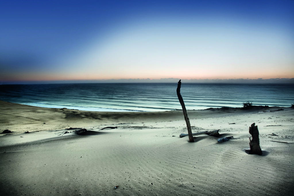 Reach for the sun by Mel Breckstone