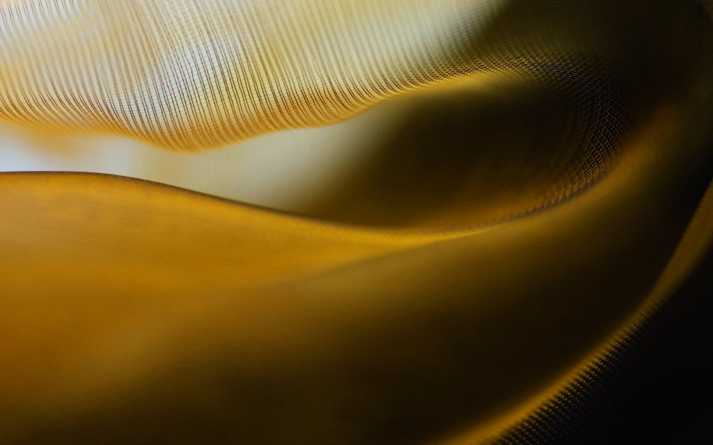 Fields of Gold by Carola Onkamo