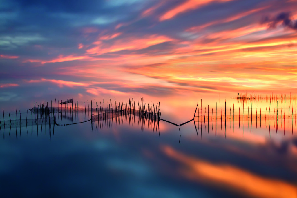 Fishnet by Jose Beut