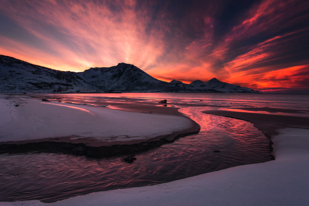 Golden Sunset by Jaroslav Zakravsky