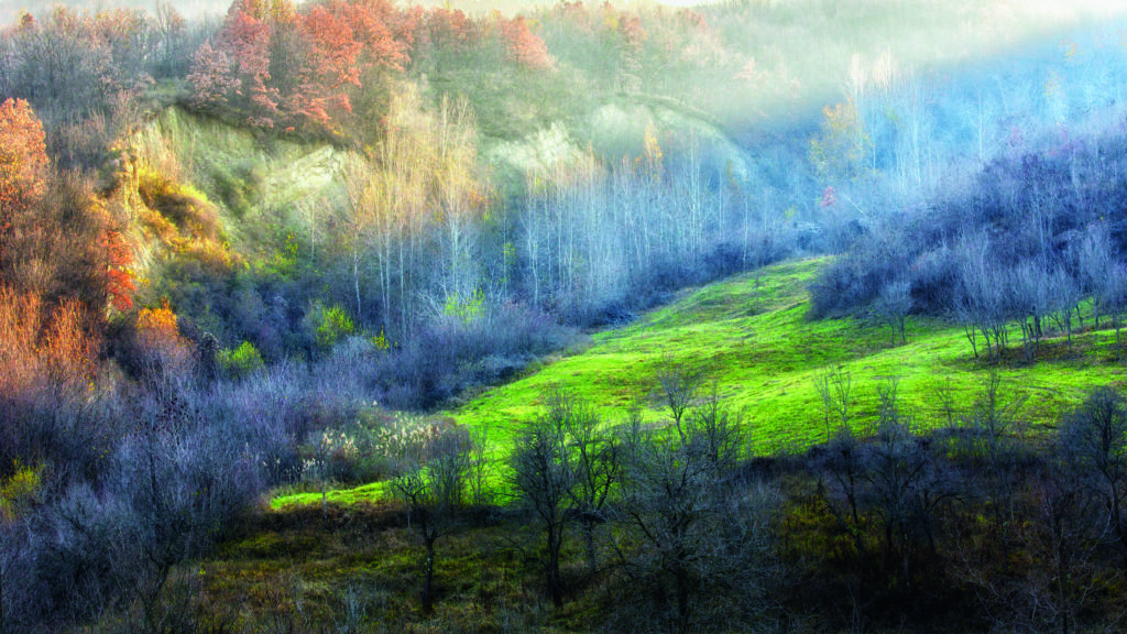 November colours by Adrian Popan