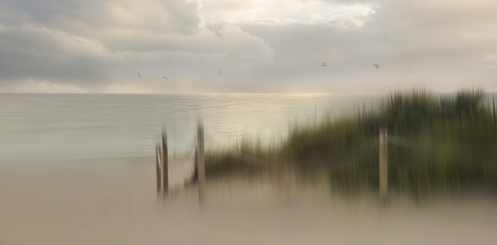 Early bird by Heidi Westum