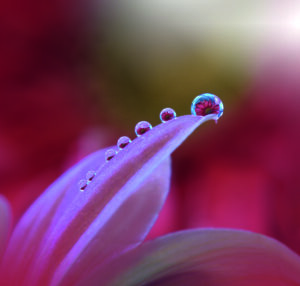 Behind Closed Eyes… by Juliana Nan