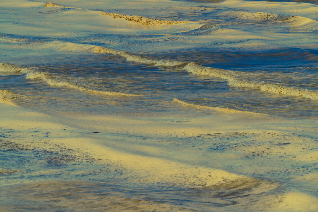wet desert