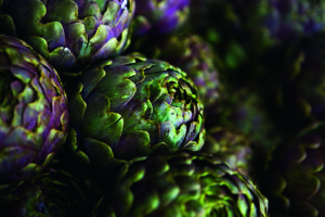 Artichokes by Luigi Vaccarella/HUBER IMAGES