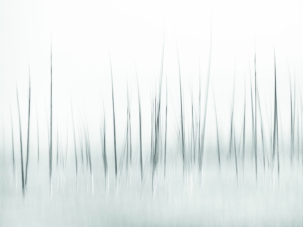 Winter Scenery by Charles Lai,1x.com