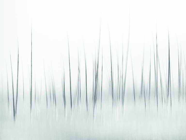 Winter Scenery by Charles Lai,1x.com