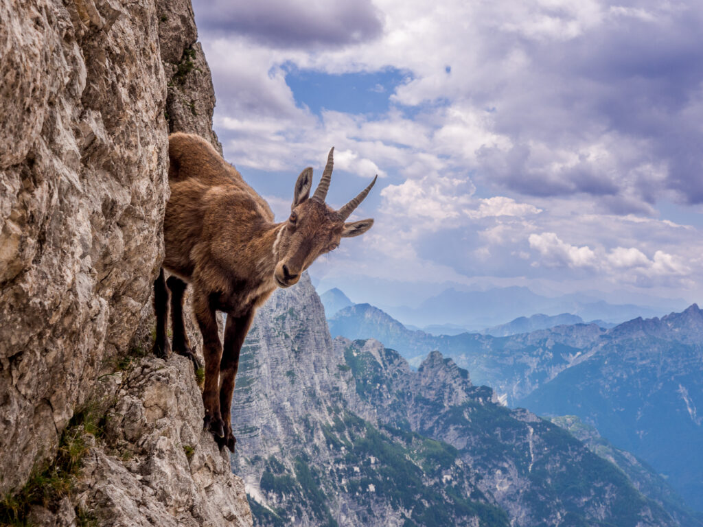 On the cliff by Stefano Marsi, 1x.com