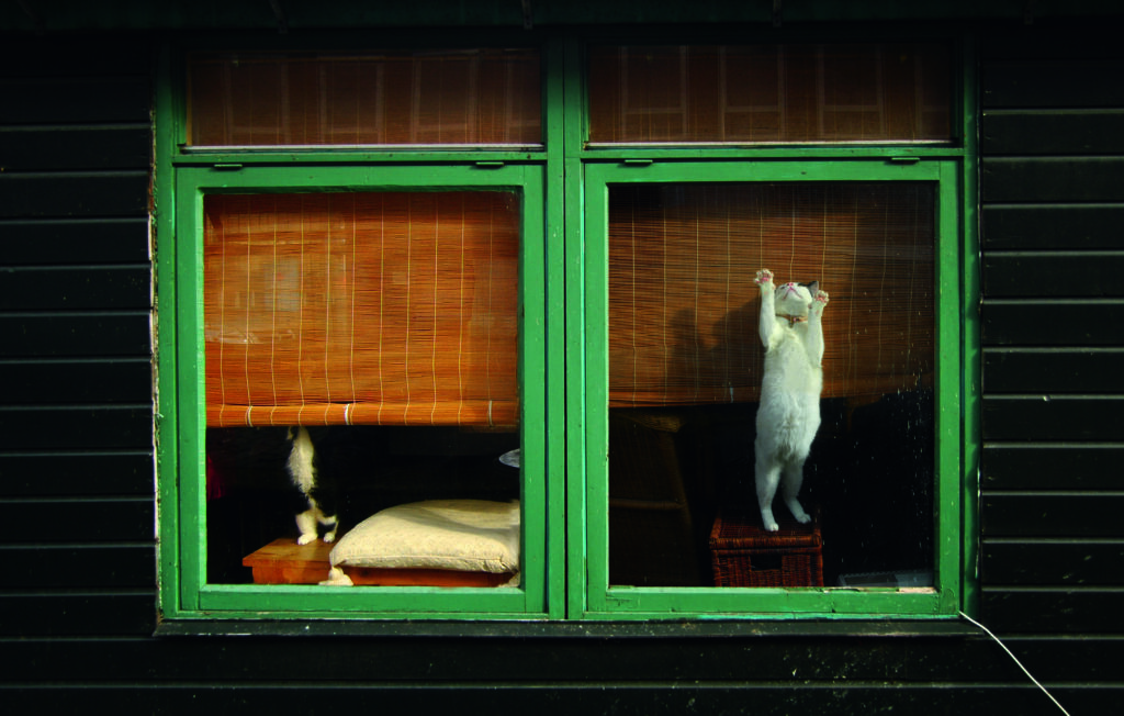 Different ways by Stefan Jacek, 1x.com