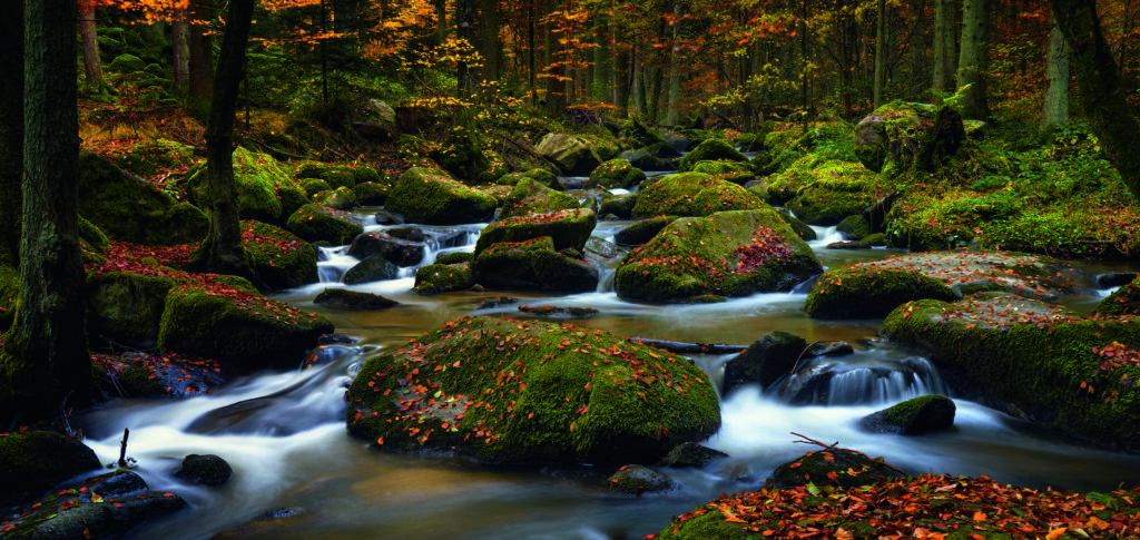 autumn waters by Norbert Maier,1x.com