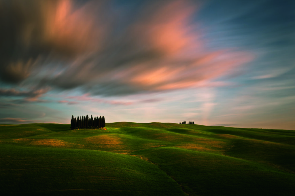 Fields by Krzysztof Browko, 1x.com