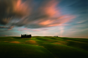 Fields by Krzysztof Browko, 1x.com