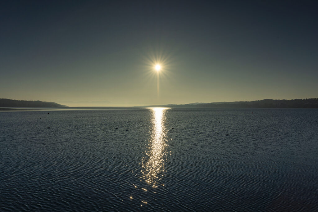 Wintersonne by Judith Grote